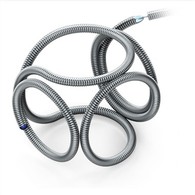 Enroulement cérébral